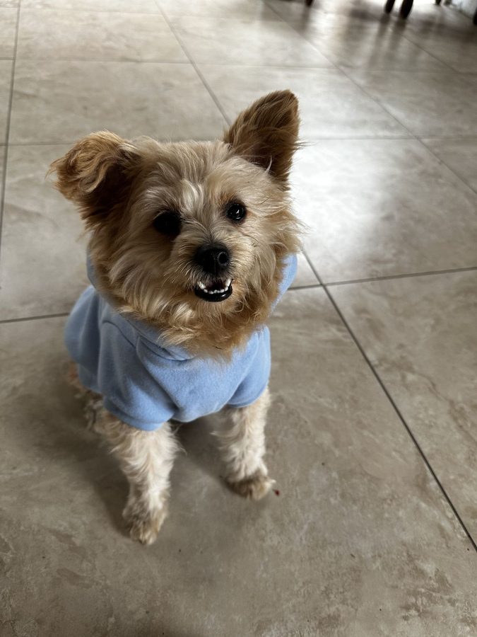 Bobby